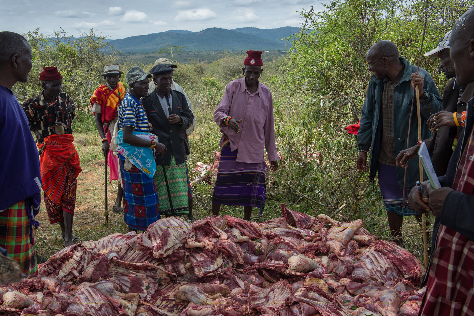Kisima - Samburu lmuget - Mzee with meat collection All meat is collected by the mzee (older men) and they divide it between themselves, the morans (warriors) and the women and children. Stefan Cruysberghs